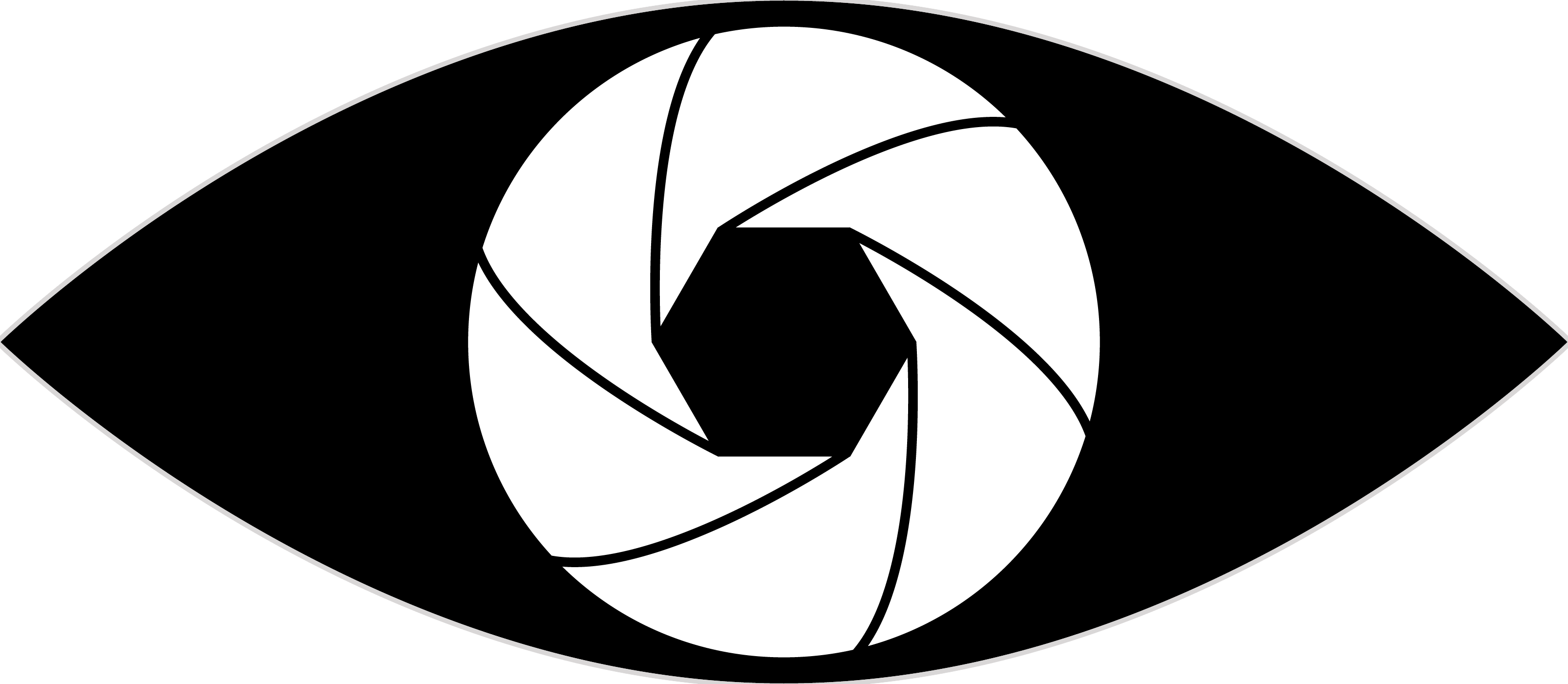 Life Spy Logo